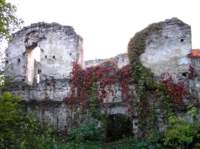 photo15_small.jpg