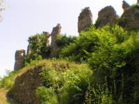 photo30_small.jpg