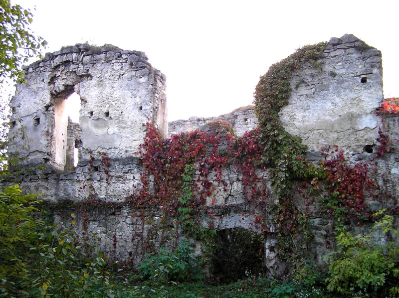 photo15