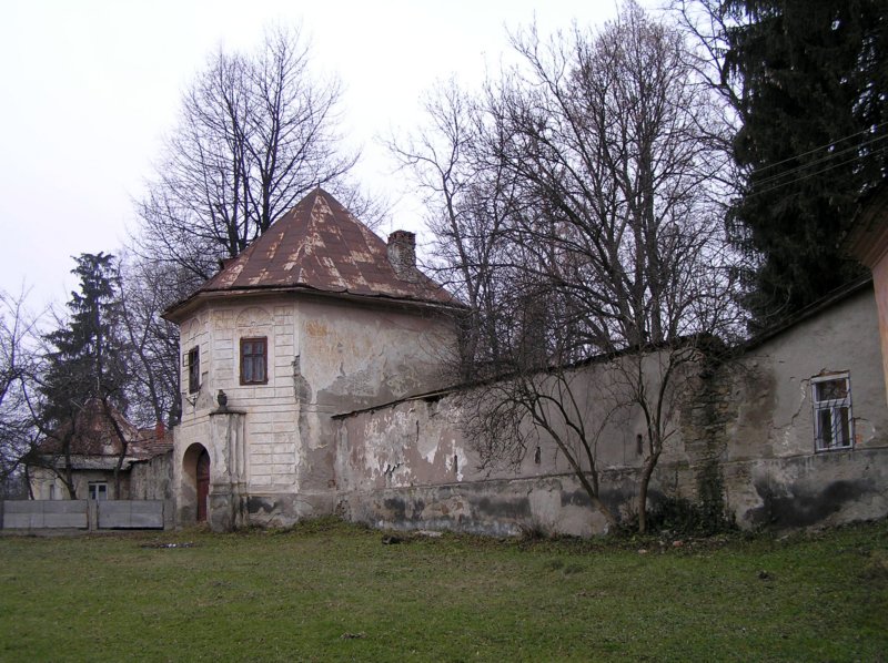 photo17