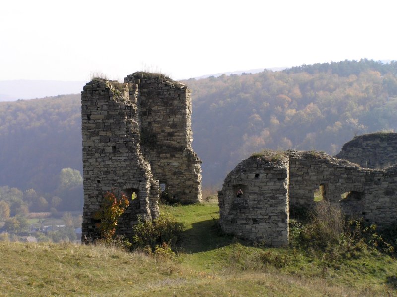 photo39.jpg